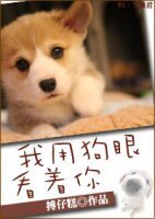 《我用狗眼看着你》