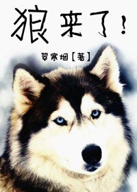 《(士兵突击同人)狼来了》