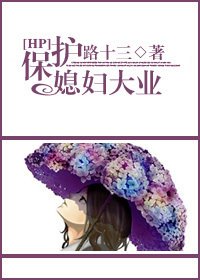 《(HP同人)保护媳妇大业》