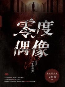 《零度偶像》