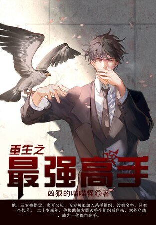 《重生之最強高手》