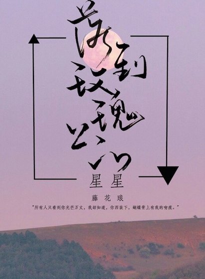 落到玫瑰上的星星
