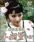 （红楼同人）水掬黛心醉红楼