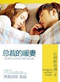 《總裁的暖妻》