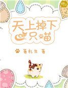 《天上掉下一只喵》