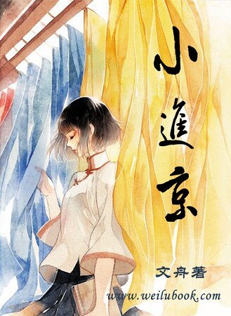 九京门之小进京