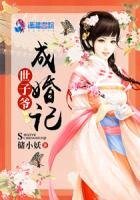 《世子爷成婚记》