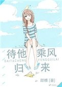 待他乘風歸來