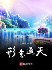 《形意通天》