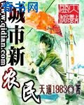 城市新农民