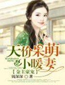 金主豪宠:天价呆萌小暖妻