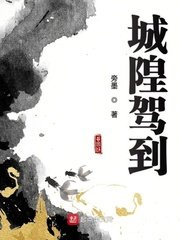 《在灵气时代寻道》