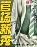 《官场新秀》