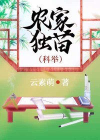 《农家独苗(科举)》