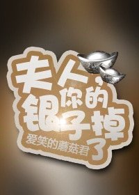 《夫人,你的银子掉了GL》