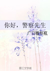 《你好,警察先生》