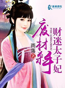 《废材杀手财迷太子妃》