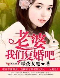 《老婆,我们复婚吧!》