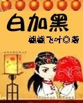 《白加黑》