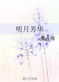 明月芳华