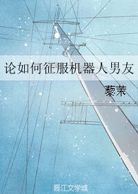 《论如何征服机器人男友》