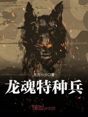 《龙魂特种兵》