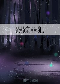 《跟踪罪犯》