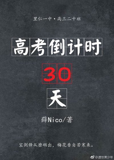 《高考倒计时30天》