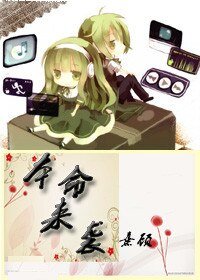 本命来袭