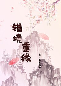 《错境重缘》