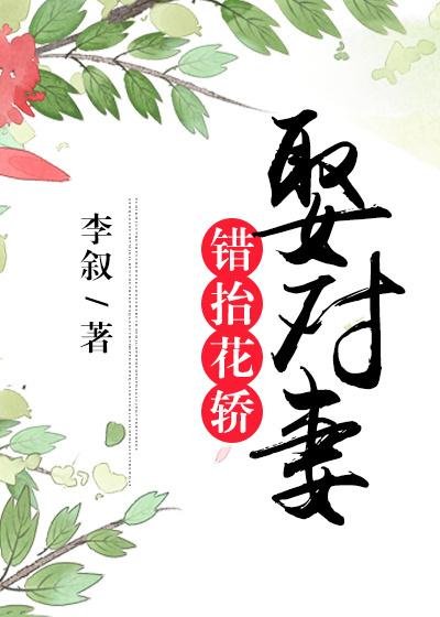 《错抬花轿娶对妻》