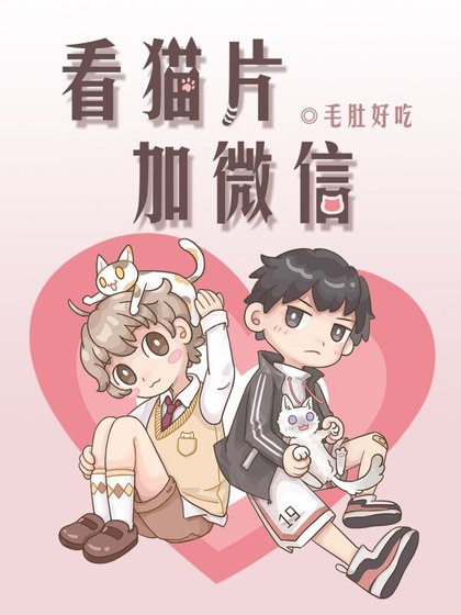看猫片加微信