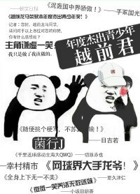 《(网王同人)本年度杰出青少年越前君》