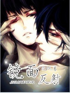 《镜面反射》