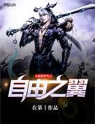 《大航海时代之自由之翼》