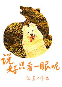 《説好只看一眼呢》