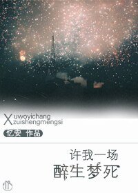 (韩娱同人)许我一场醉生梦肆