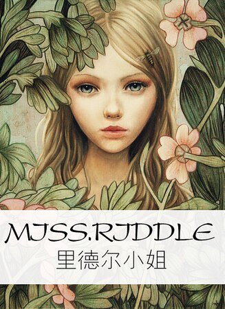 (HP同人)里德尔小姐
