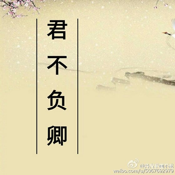 《君不负卿》