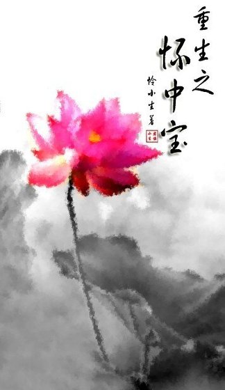 重生之怀中瓷