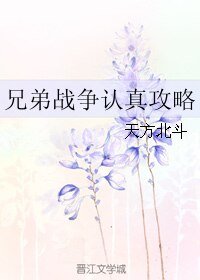 (兄弟战争同人)兄弟战争认真攻略