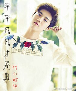 《(鹿晗同人)平平凡凡才是真》
