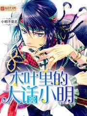 (火影同人)木叶里的大话小明