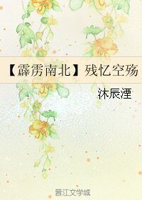 《(霹雳同人)【霹雳南北】残忆空殇》
