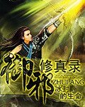 御邪修真录