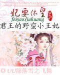 《妃要休皇:君王的野蛮小王妃》