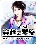 穿越之琴殇