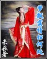 《梦飘落情归何处》