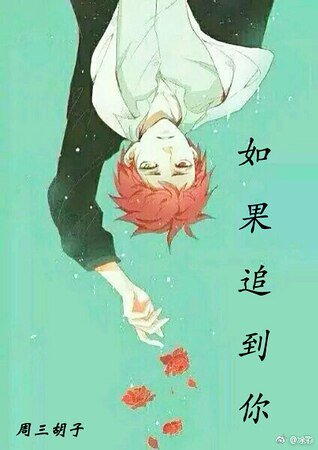 《如果追到你》