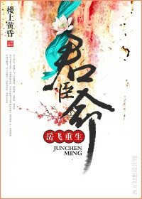 《君臣命(岳飞重生)》